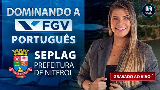 DOMINANDO A FGV - SEPLAG NITERÓI-RJ  - 648 questões 